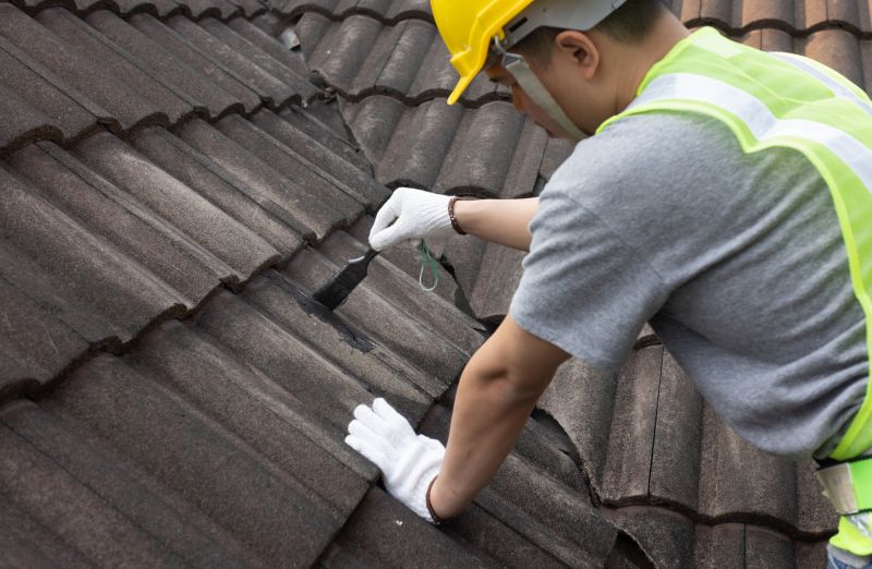 Roof Repair and Restoration